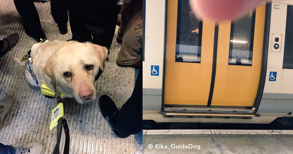 untitled 1 30.jpg?resize=412,275 - La perrita guía de un hombre ciego se puso muy triste al ver que nadie en el tren le cedía el asiento