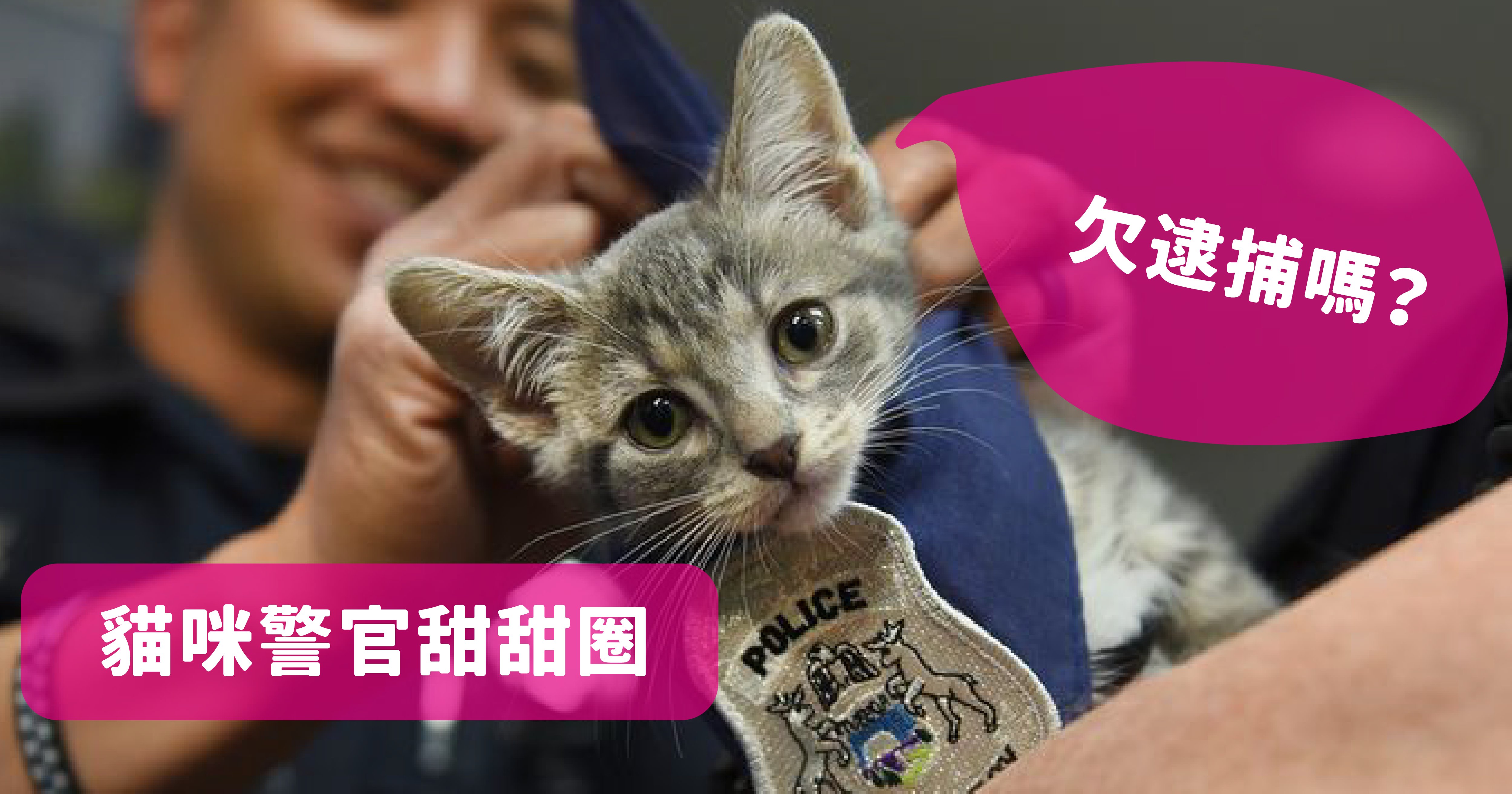 vonvone5b081e99da2 e8b293 01.png?fit=1024%2C538&ssl=1&strip=all - 美國警局為了衝人氣雇用超萌「警貓」，警察們都融化成貓奴啦～