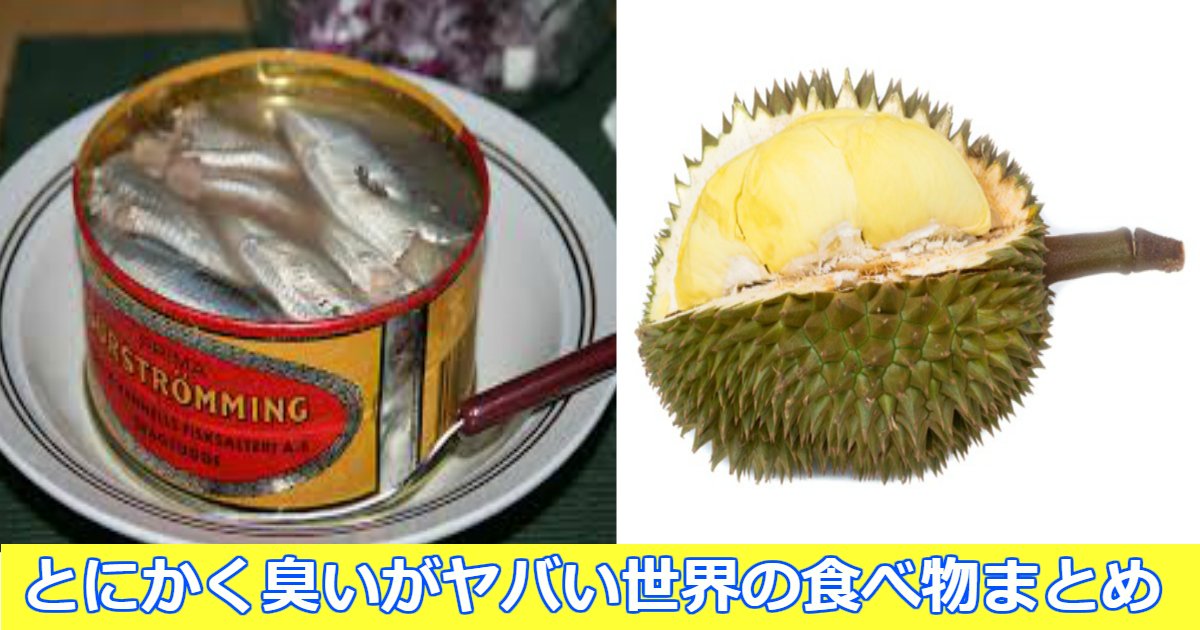 yabai.png?resize=412,275 - 世界の臭いがヤバい食べ物まとめ！日本の食べ物もちゃっかりランクインしている件