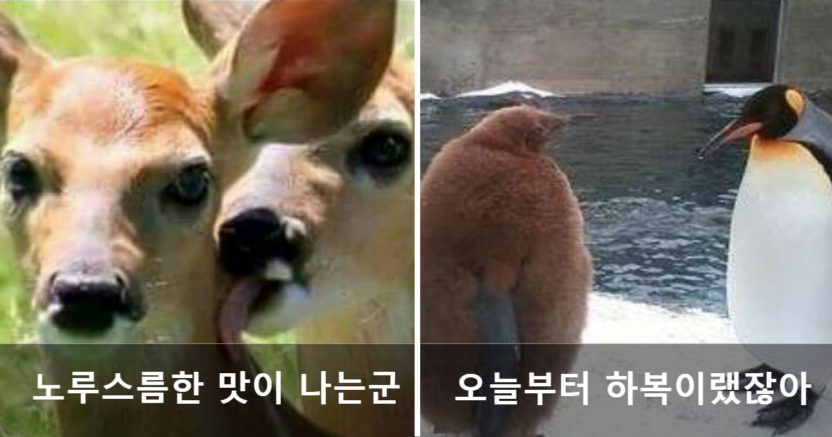 1324 9.jpg?resize=412,275 - '제목학원' 장학생들의 기상천외한 제목 짓기 (사진 24장)