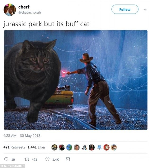 Une autre scène montre une scène de Jurassic Park mais Buff Cat est la créature géante contre laquelle les humains se battent