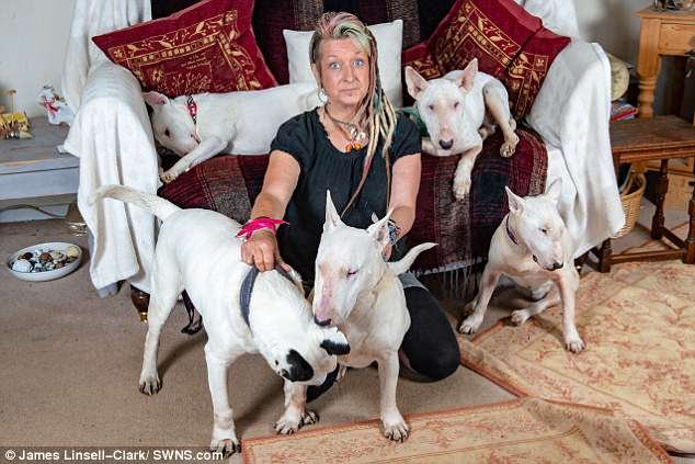Mme Haslam a accueilli environ deux cents chiens de sauvetage au fil des ans, ainsi que des chiens de vacances qui lui paient un salaire pour couvrir son loyer et ses factures.
