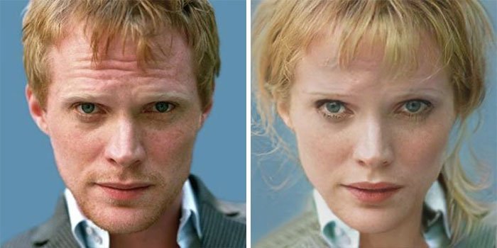 Paul Bettany (Visão)