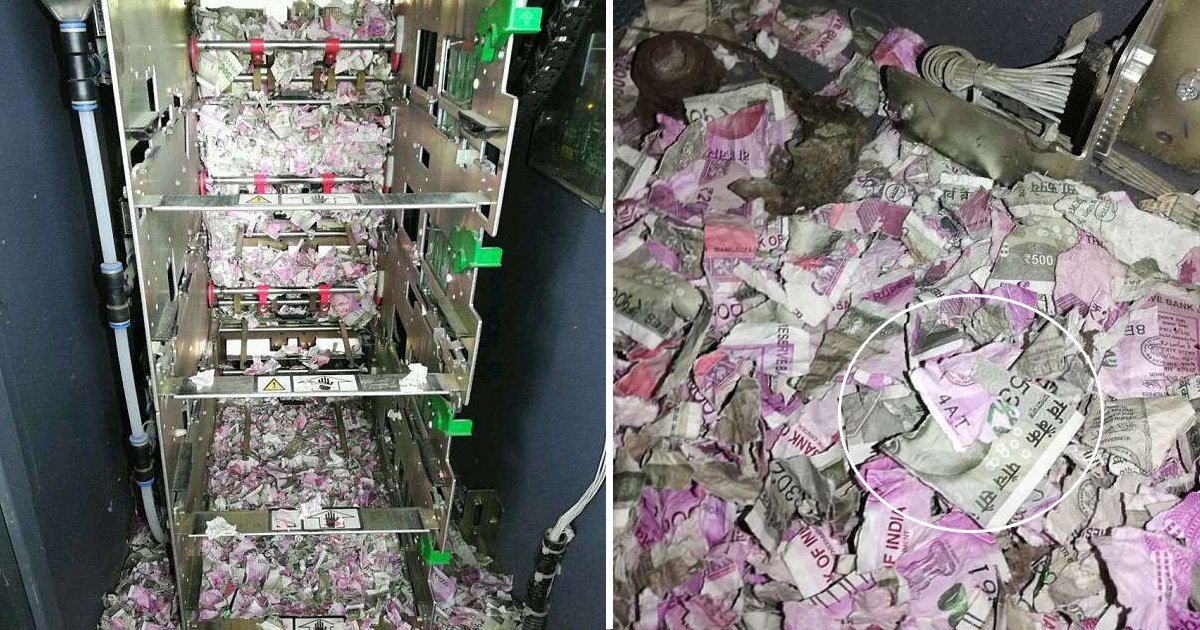 adfasdfafdasf.jpg?resize=1200,630 - Rats Chewed Through Almost $18,000 Worth Of Cash Inside An ATM