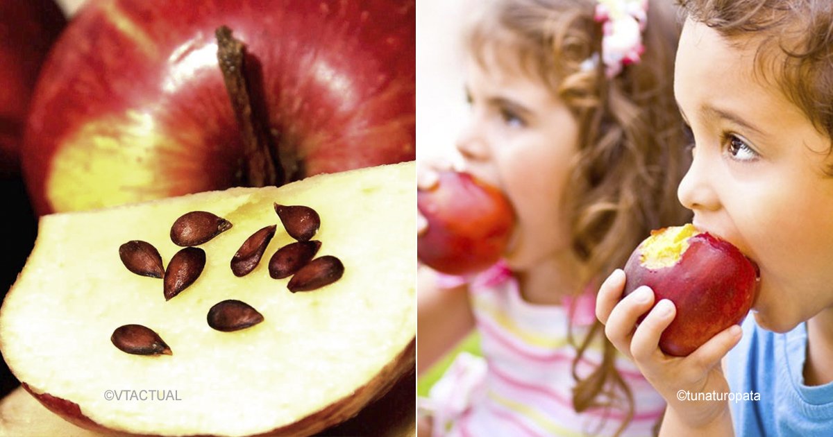 appl 1.jpg?resize=1200,630 - Las semillas de estas frutas podrían afectar tu salud, e incluso causarte la muerte