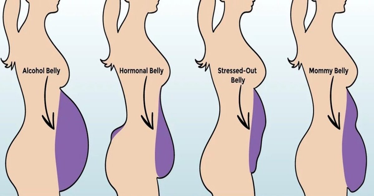 5 Types Of Bellies And How To Get Rid Of Excess Abdominal Fat Small Joys
