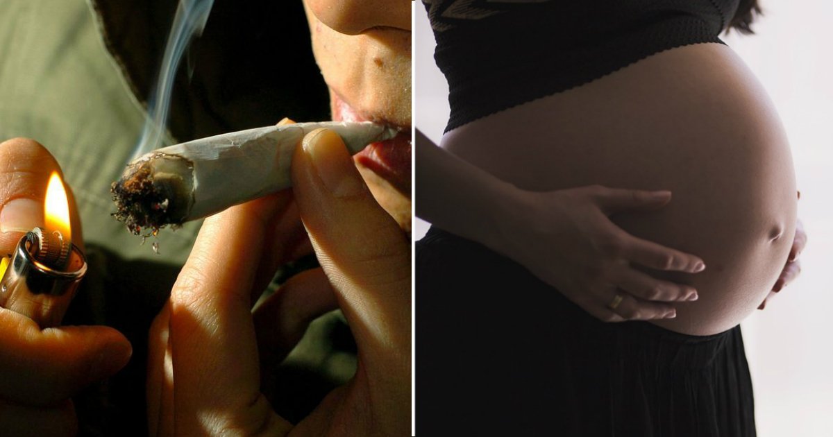 cannabis pregnant.jpg?resize=1200,630 - Fumer du cannabis peut nuire aux futurs bébés, même si les parents ont cessé d'en consommer depuis des années