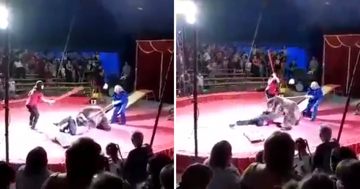 capa1tt.png?resize=1200,630 - Urso de circo na Rússia ataca seu treinador após apanhar com uma vara