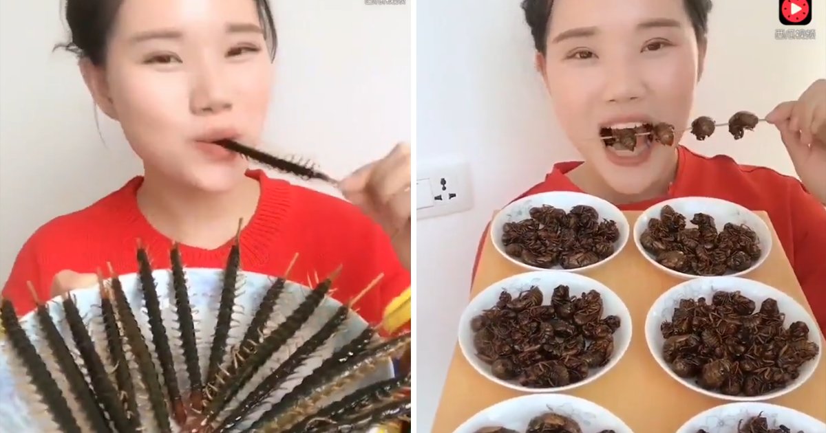 capaa7.png?resize=412,275 - Exótico? Vídeo mostra chinesa degustando insetos como se fossem batata frita