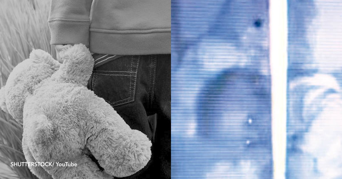 cov 1 1.png?resize=412,232 - El aterrador video de un oso de peluche abrazando durante la noche a un bebé en su cuna