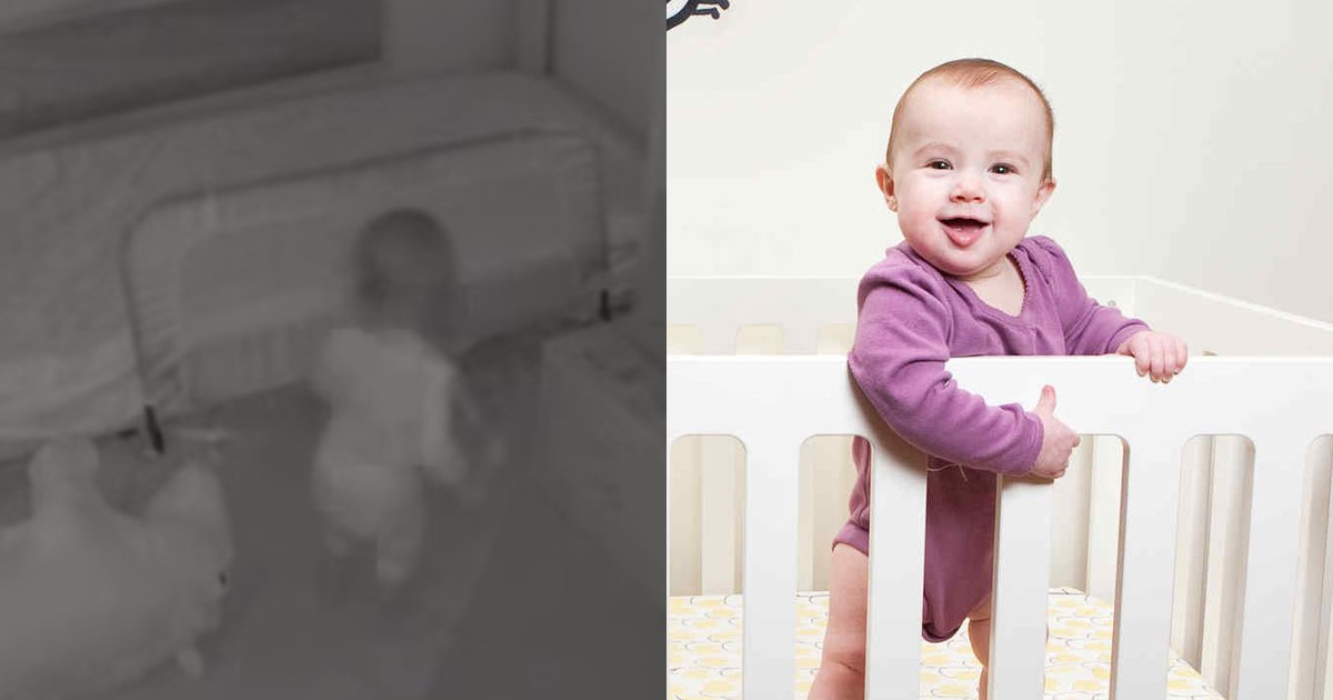 cov 1.jpg?resize=1200,630 - Una cámara oculta revela cómo un bebé consigue escapar de su cuna con la ayuda de dos "cómplices"