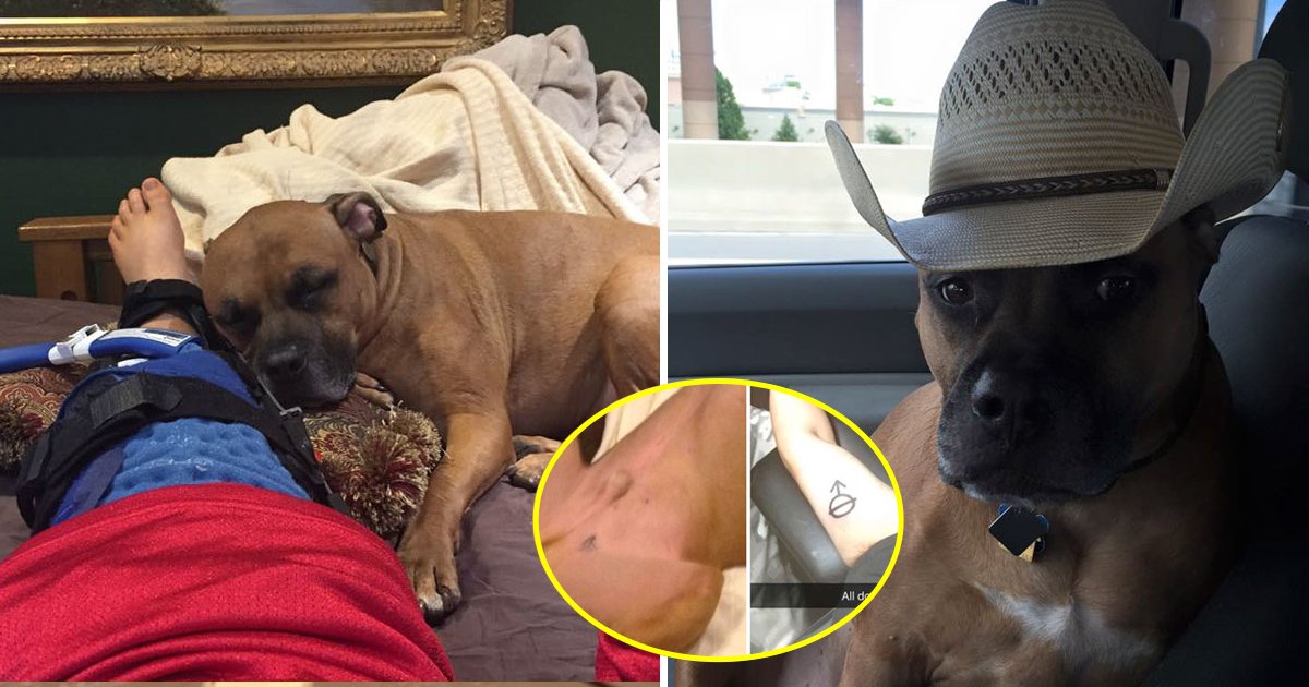 doggy.jpg?resize=1200,630 - Homem faz a mesma tatuagem do seu cão resgatado, mas se arrepende após descobrir o real significado do símbolo