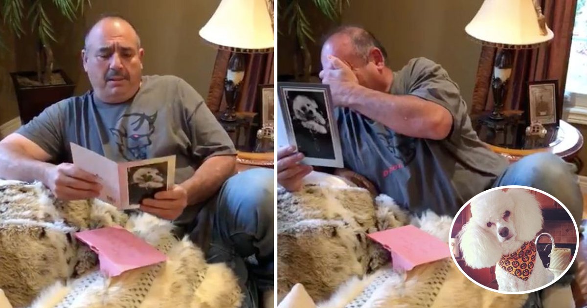 gift.jpg?resize=1200,630 - Este homem estava abalado pela morte de dois de seus cães, quando ele ganhou seu presente de aniversário, ele não conseguia parar de chorar