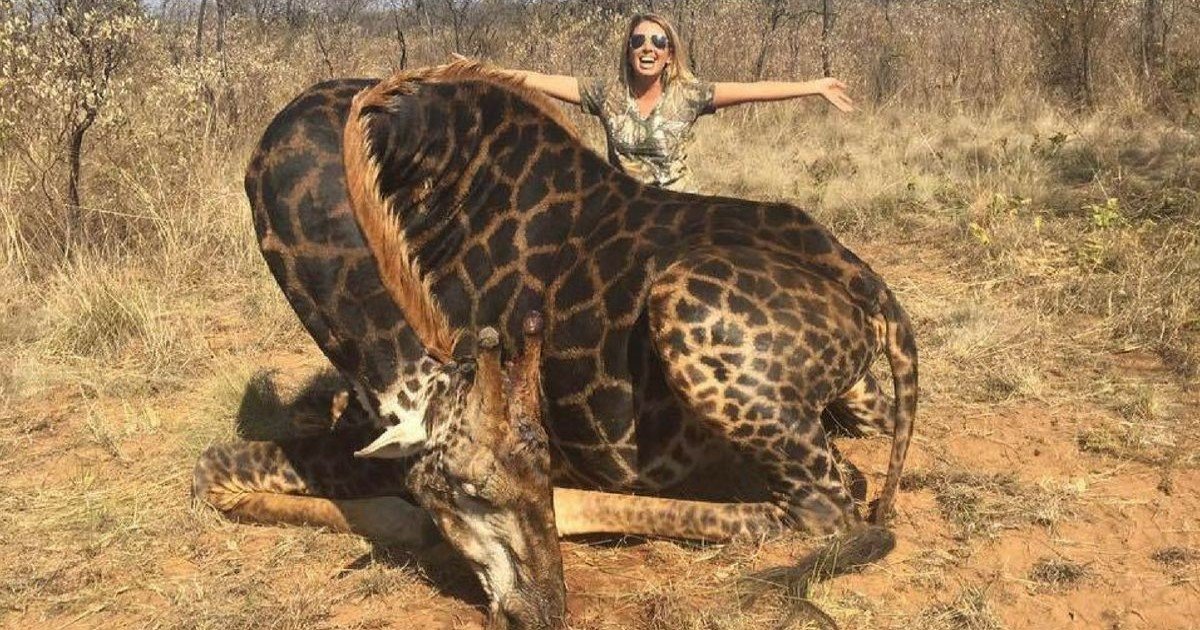 Hunter Sparks Outrage After Posing With 'Rare' Black Giraffe She’s Just ...