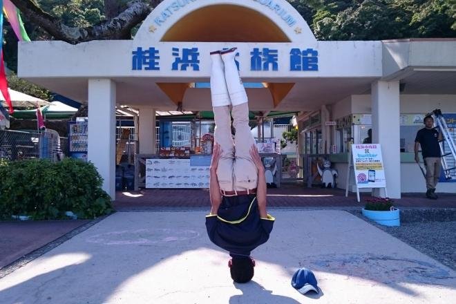 桂浜水族館