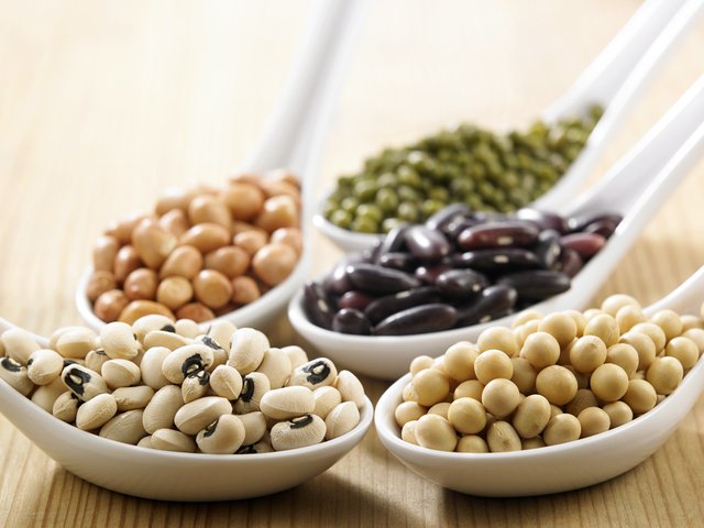 「豆類」の画像検索結果