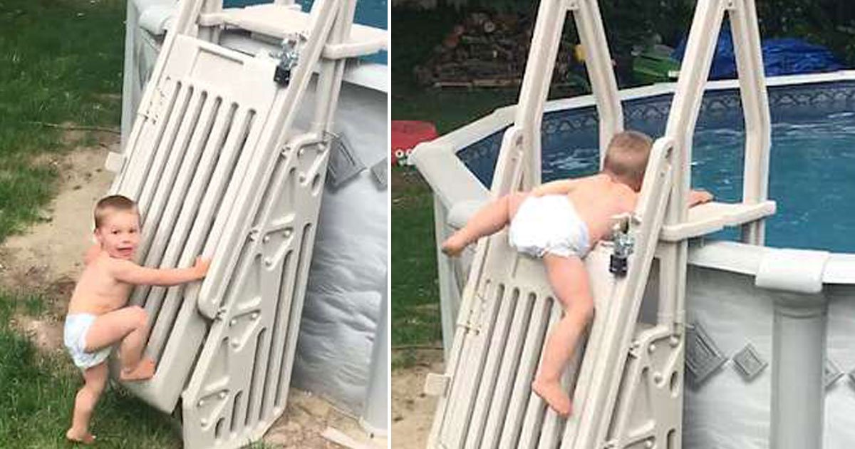 untitled 1 135.jpg?resize=1200,630 - La vidéo d'un petit garçon de deux ans qui se hisse en haut d'une échelle de piscine soit disant «impossible à monter» est devenue virale, laissant tout le monde inquiet