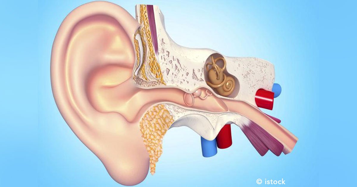 untitled 1 143.jpg?resize=1200,630 - Infecciones de oídos: causas, factores de riesgo y síntomas