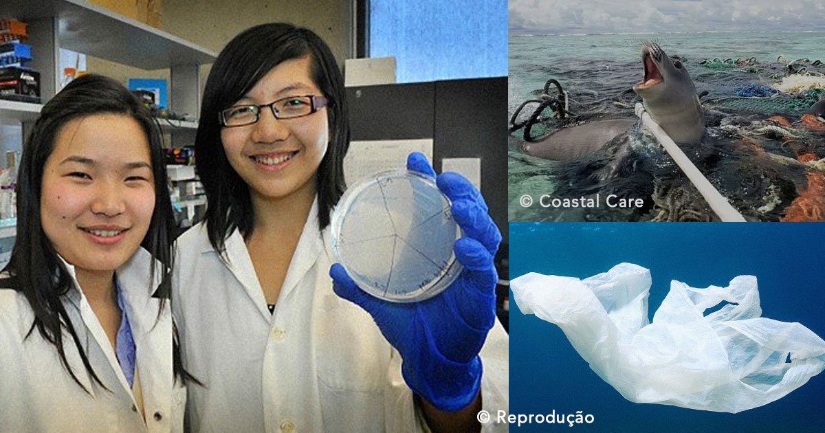 untitled 1 185.jpg?resize=1200,630 - 2 estudiantes lograron desarrollar una bacteria que se alimenta de plástico, esto sería increíble para el planeta