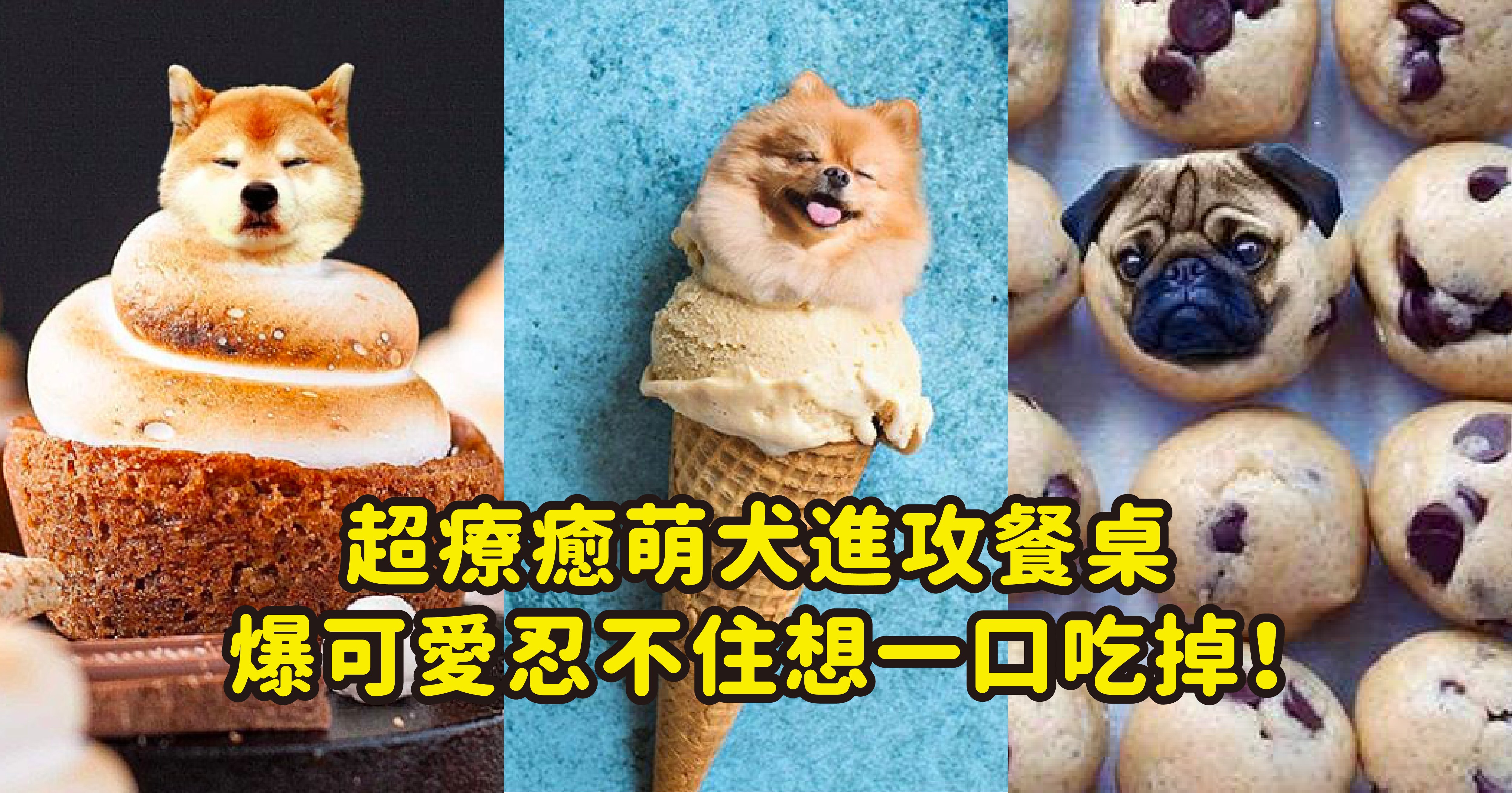 vonvone5b081e99da2 e78b97 01.png?resize=412,275 - 天菜狗狗療癒圖集上菜啦～超萌犬化身甜點攻佔你的餐桌！