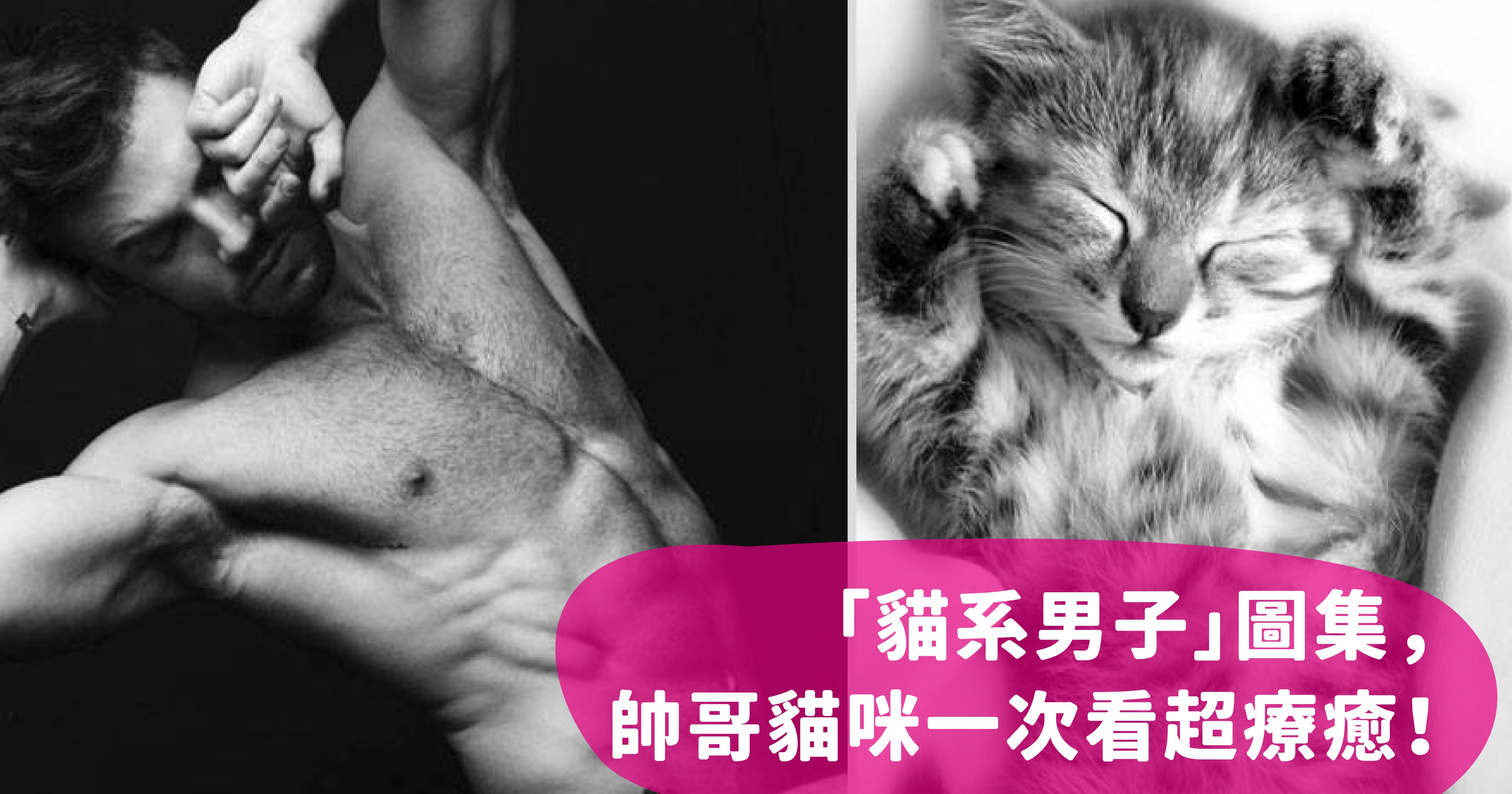 vonvone5b081e99da2e8b293 01.png?resize=412,275 - 型男與貓總是看不膩！貓系男子們和可愛小貓一起攻破你心房～