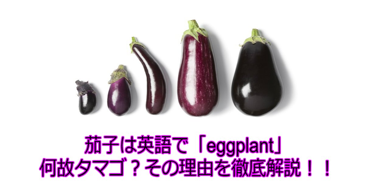 1 107.jpg?resize=412,275 - 【謎】【茄子の歴史】実はタマゴの植物だった？ナスが英語で「eggplant」な理由は？