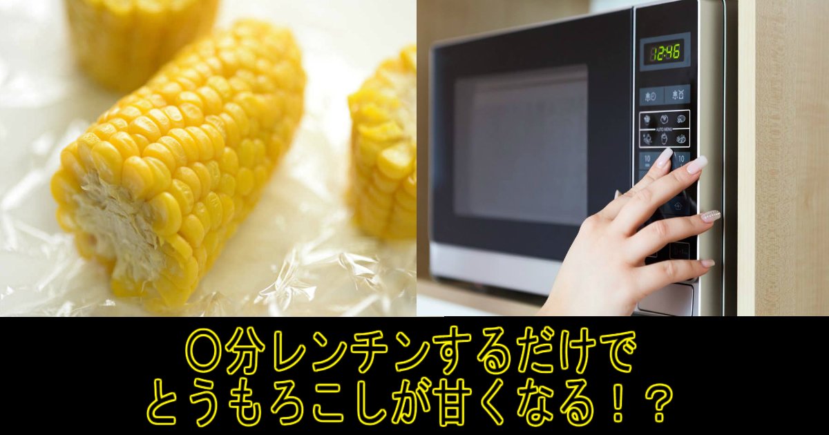 1 233.jpg?resize=412,232 - とうもろこしを○分レンチンするだけ！短時間で甘くなる方法とは？