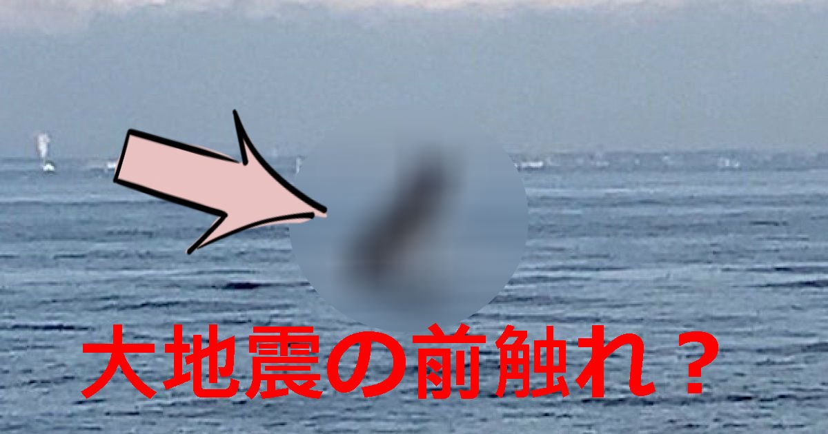 1 27.jpg?resize=412,275 - 【地震の前触れ!?】東京湾に〇〇〇出現！（画像あり）