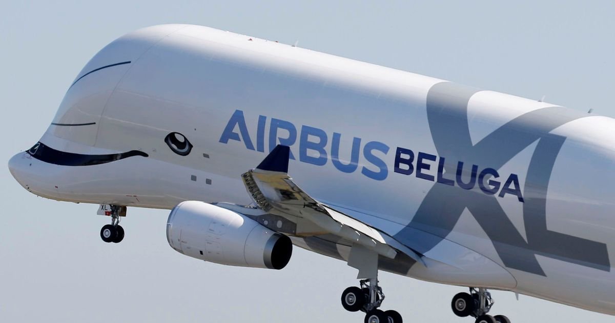 Beluga Airbus