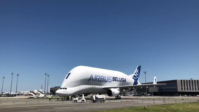 Beluga Airbus