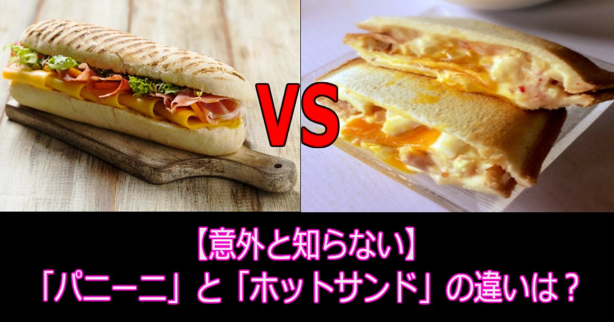 1 88.jpg?resize=412,275 - 【意外と知らない】「パニーニ」と「ホットサンド」の違いは？焼き目に違いがあった？