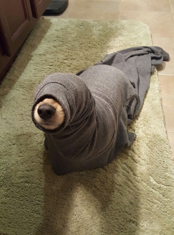 Found A Loose Seal In My Bathroom