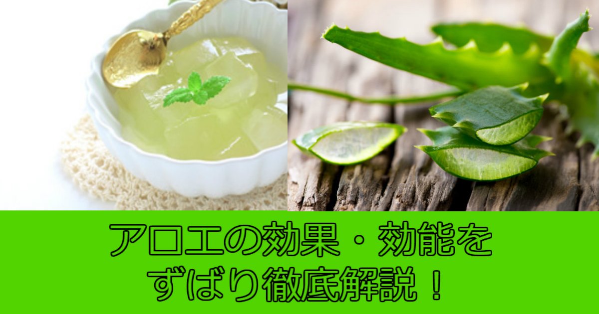 アロエの効果 効能は 塗る 飲む 食べる で得られる効果を大公開 Hachibachi