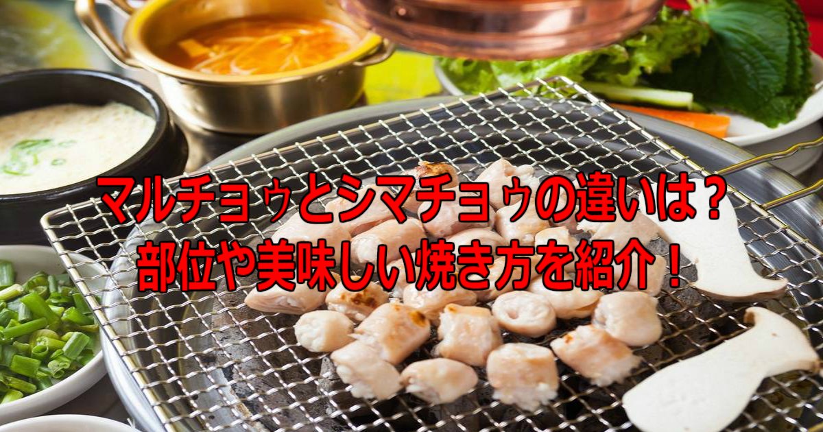 イメージカタログ ベストオブ ホルモン 焼き 加減 イメージカタログ ベストオブ ホルモン 焼き 加減