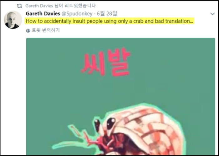 인사이트