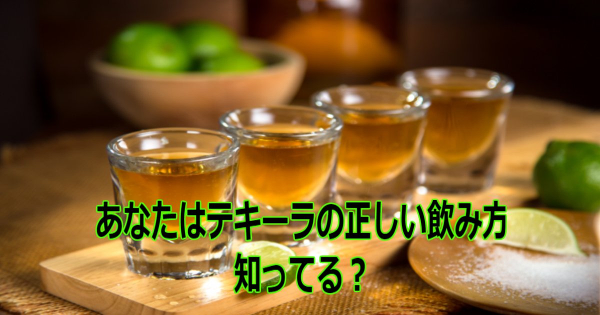 aa 5.jpg?resize=412,232 - あなたは知ってる？「テキーラ」の正しい飲み方をご紹介！！