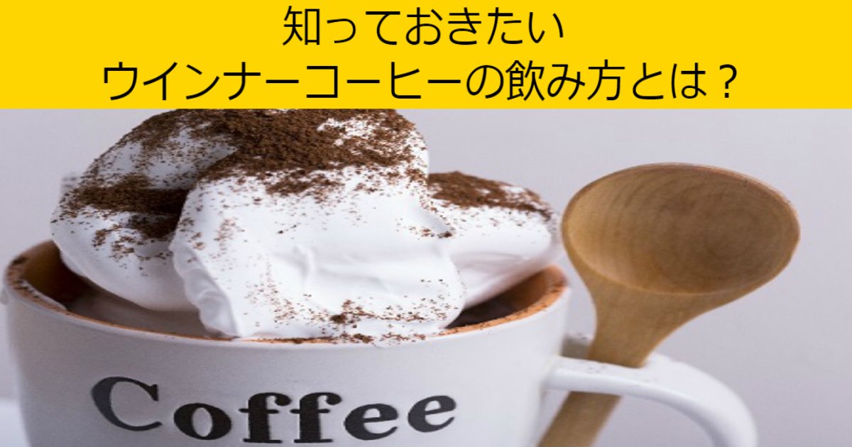 aaa 2.jpg?resize=412,275 - 【正しい】ウインナーコーヒーの飲み方とは？