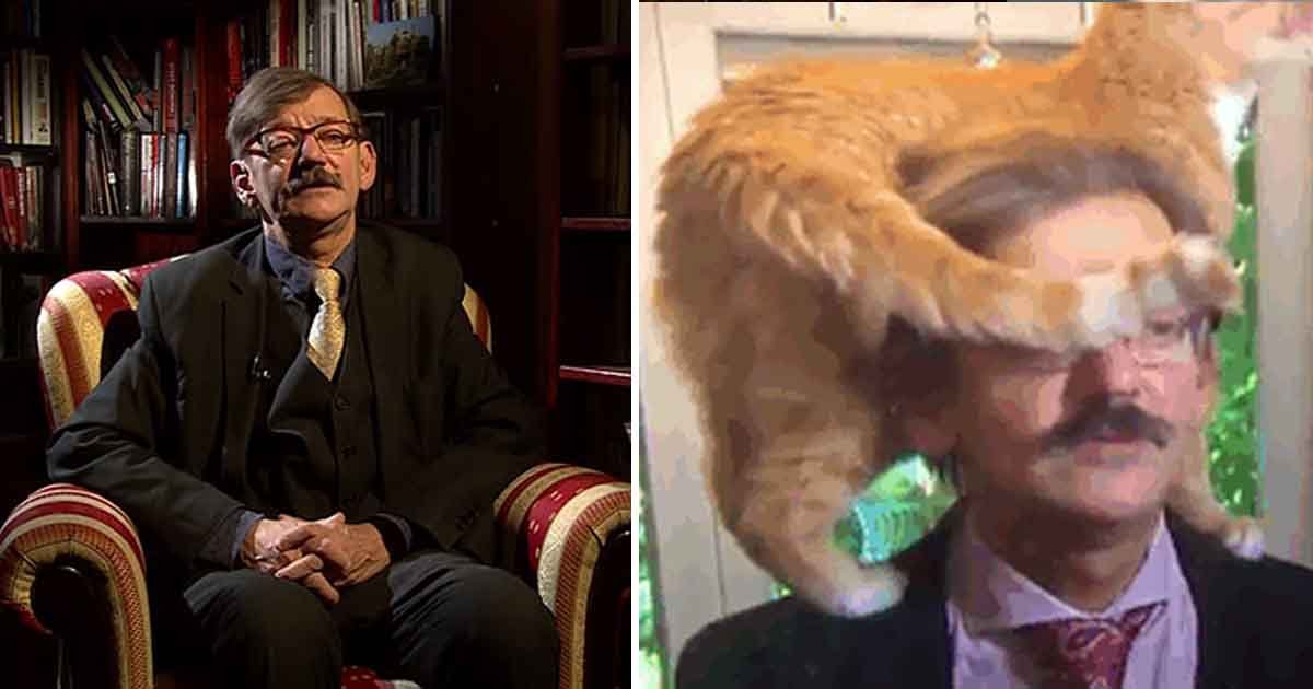 agdag.jpg?resize=412,275 - This Polish Academic Reaction To His Cat’s Interruption In The Middle Of The Interview Will Give Your Belly A Tickle   