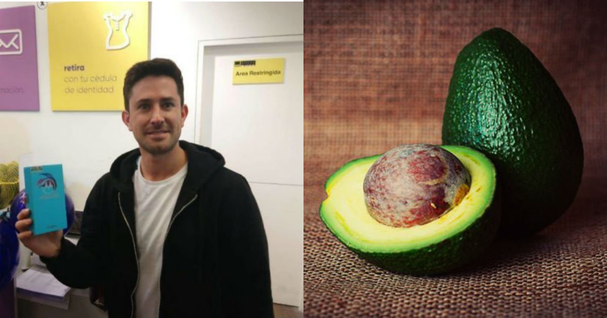 avocado 933060  340.jpg?resize=1200,630 - '아보카도' 58kg로 새 '휴대전화' 구매한 남성