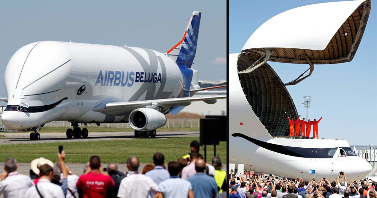 beluga xl 5.jpg?resize=412,232 - Airbus a lancé un cargo gigantesque appelé "BelugaXL" qui ressemble à un dauphin