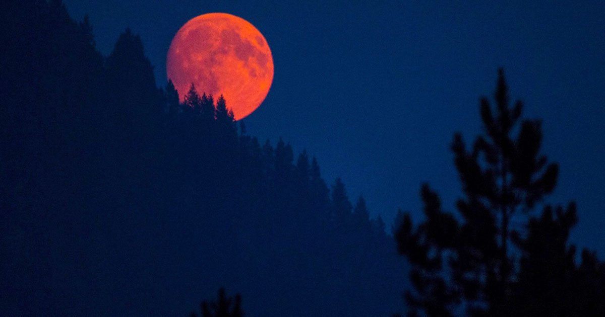 blood moon.jpg?resize=412,232 - L'incroyable lune rousse de juillet sera visible pendant près de 103 minutes.