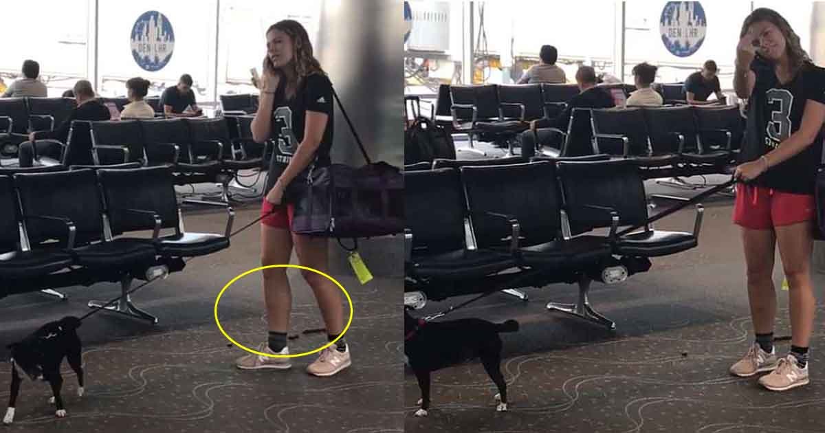 btttt.jpg?resize=412,232 - Les médias sociaux recherchent une femme qui a permis à son chien de faire ses besoins au milieu de l'aéroport