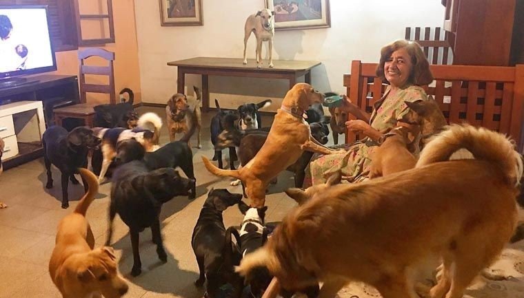 caes4.jpg?resize=412,275 - O amor de 37 cães ajudaram essa senhora a vencer a depressão