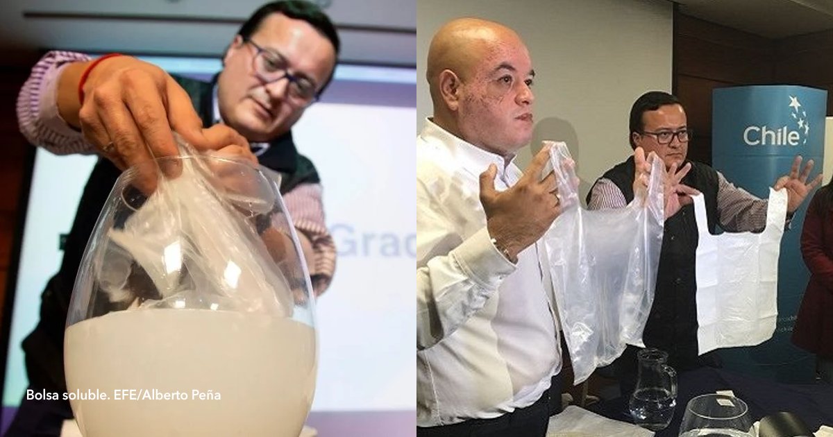 cov 1 23.png?resize=412,232 - Una empresa chilena creó bolsas plásticas que se disuelven en agua en tan solo 5 minutos