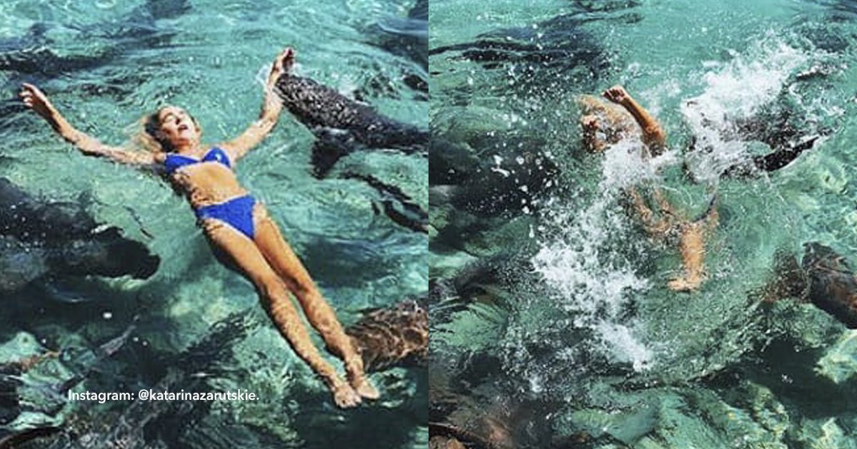 cov 1 7.png?resize=1200,630 - Casi la come un tiburón por buscar la foto perfecta para su Instagram