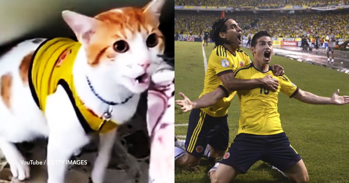 cov 22.png?resize=412,275 - Conoce al gato que maulla "gol" cada vez que marca Colombia