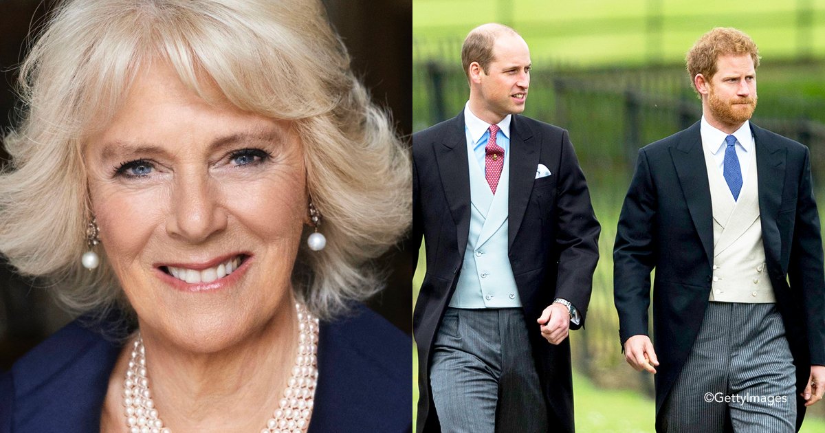 covernn.jpg?resize=412,275 - Los Príncipes Harry y William están muy molestos con Camilla Parker, porque en su nuevo libro criticó a Lady Di