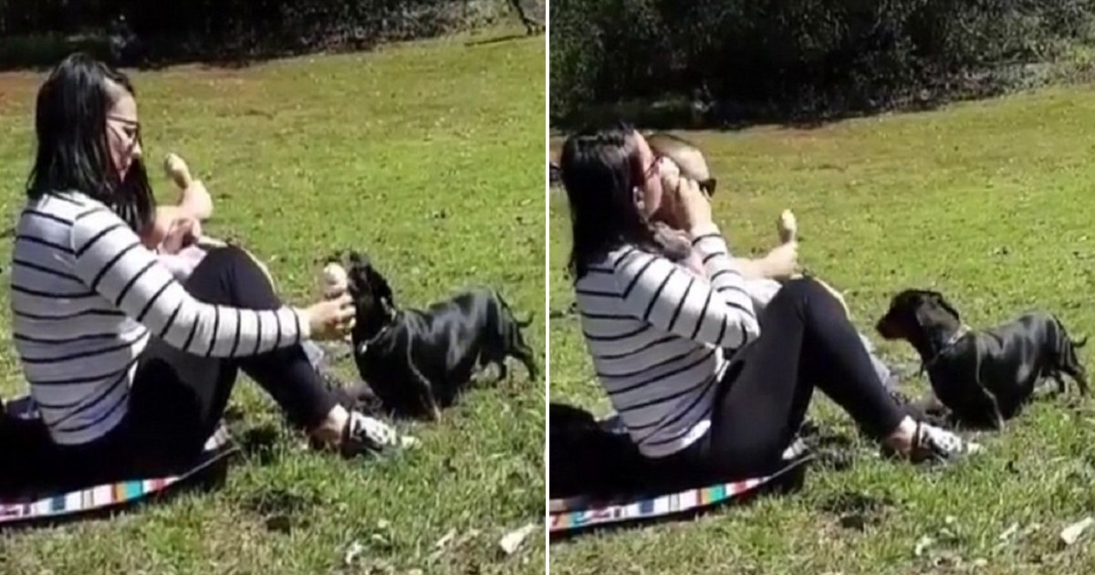 d2 side.jpg?resize=1200,630 - Cette vidéo d'une femme partageant sa crème glacée avec son chien a divisé l'Internet