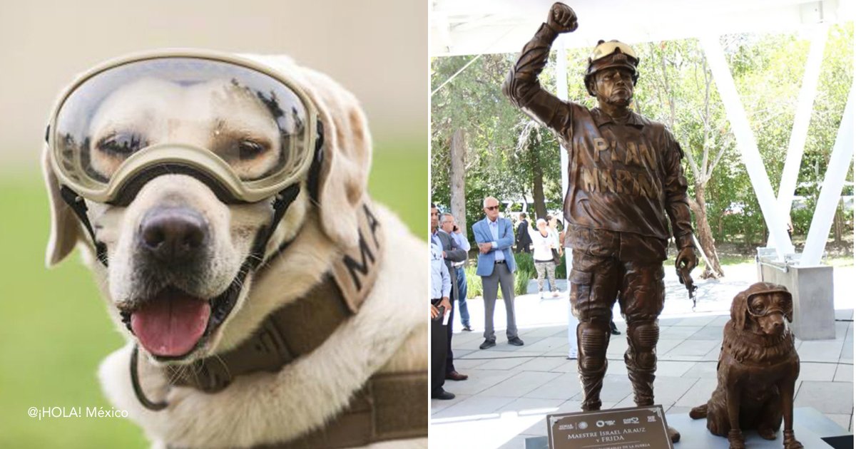 dog 8.jpg?resize=412,275 - Heroico perro obtiene su propia estatua por salvar 12 vidas de un terremoto