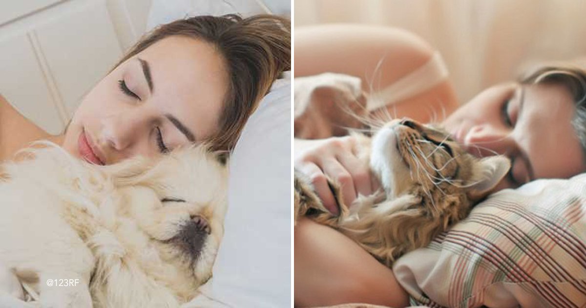 dog 9.jpg?resize=1200,630 - Este incrível estudo revela que dormir com gatos e cães traz benefícios para a saúde